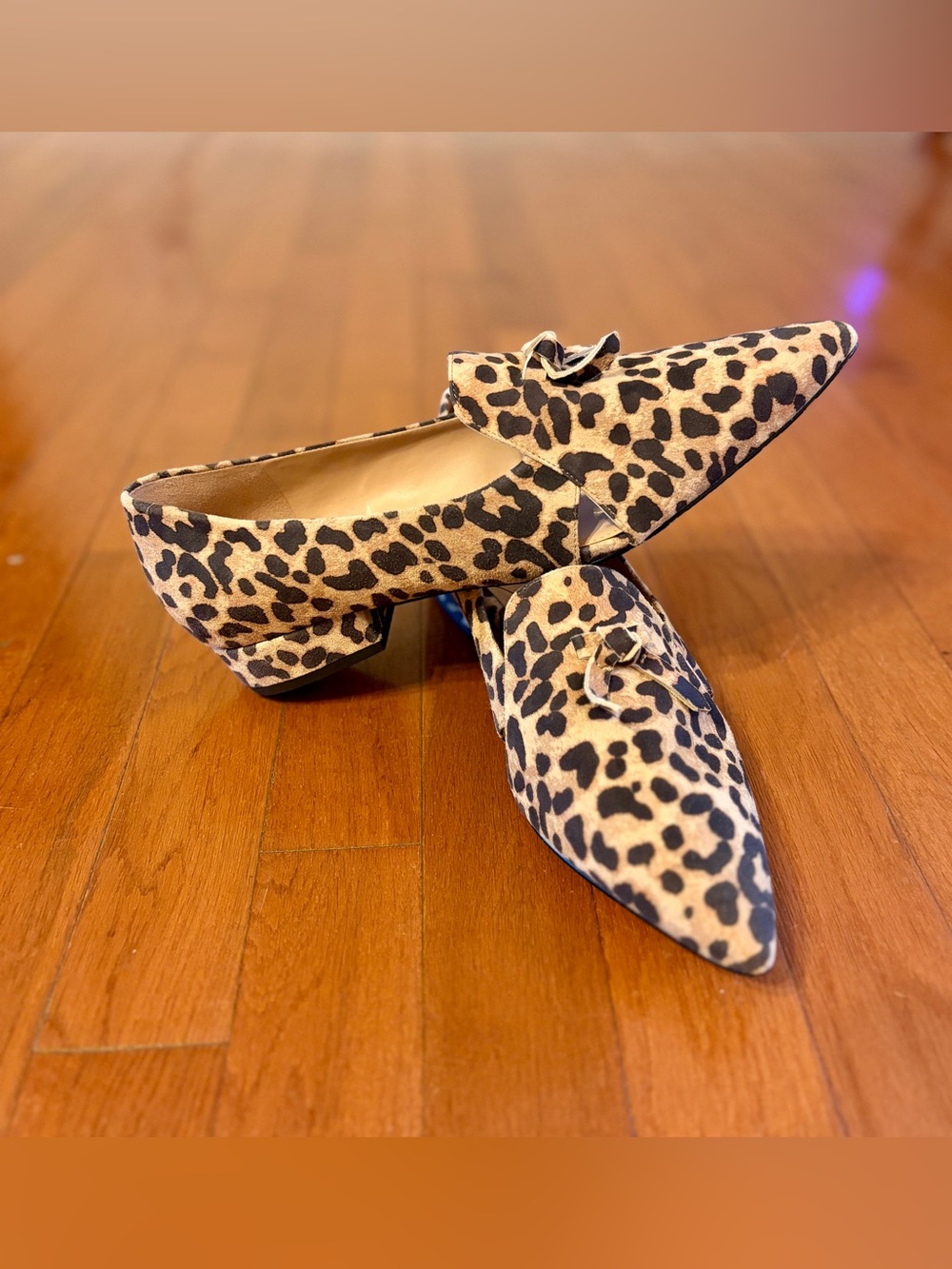 Cole Haan | Viola Skimmer Flats in Leopard - Women